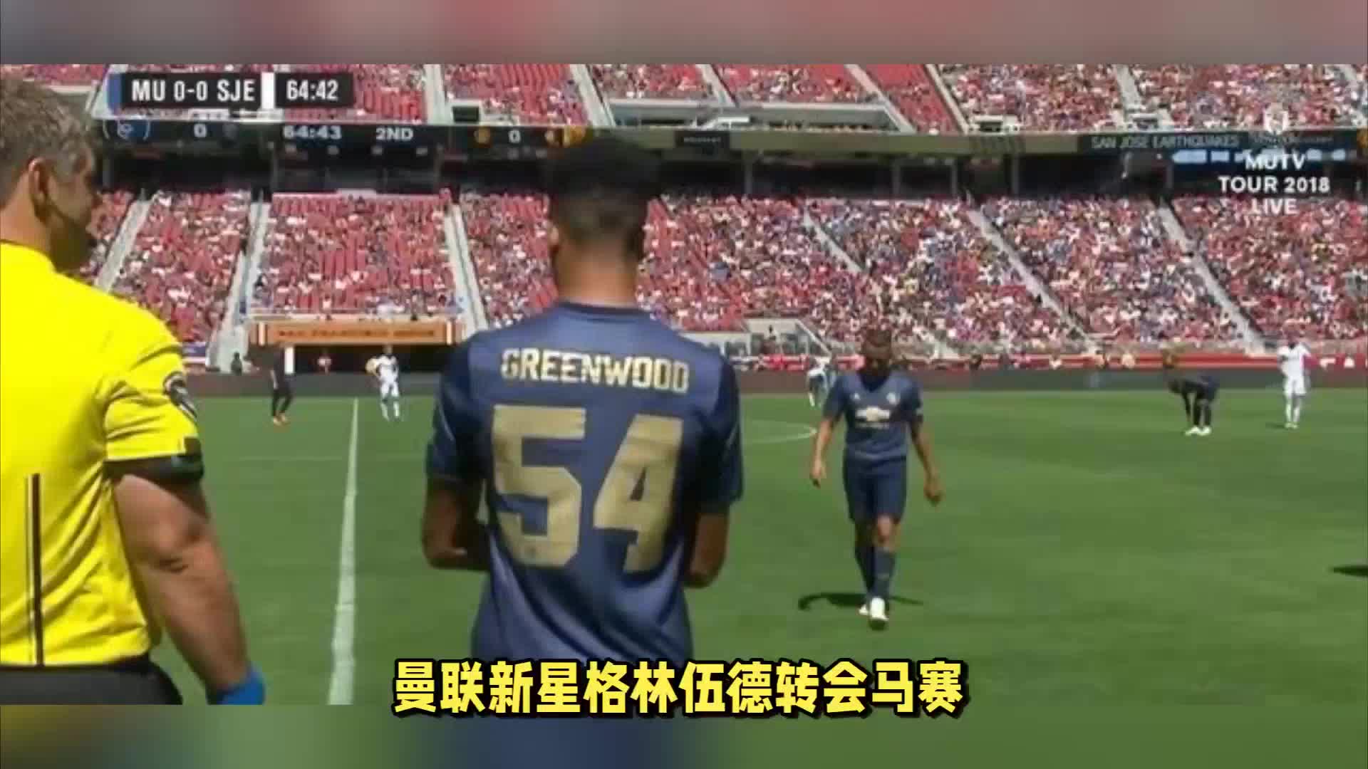 蜜香红茶研磨粉